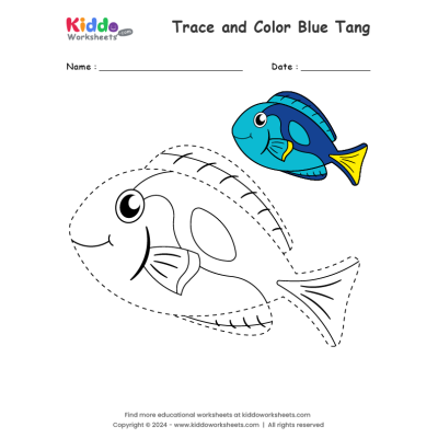 Trace and Color Blue Tang