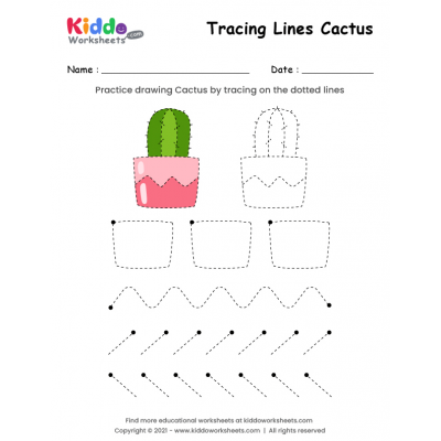 Tracing Lines Cactus