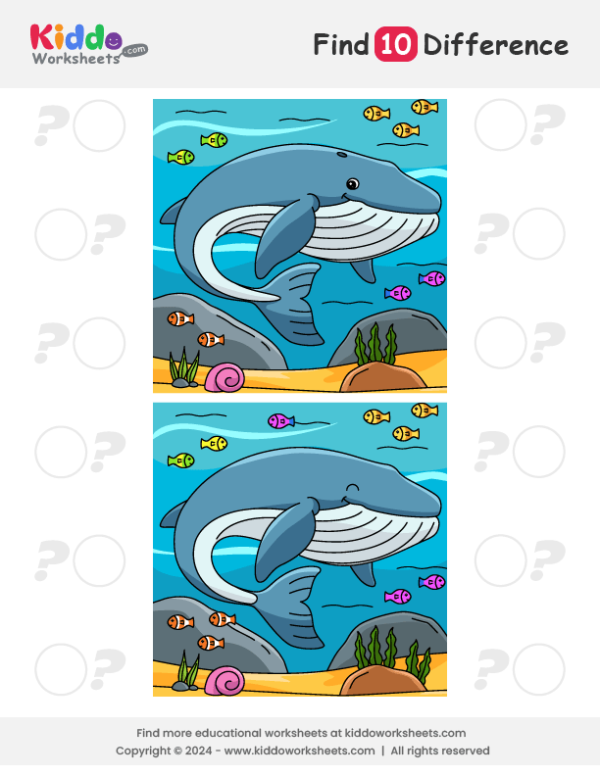 Whale Spot the Difference