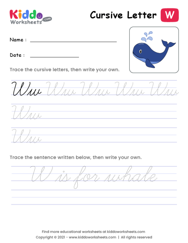 Cursive Writing Letter W