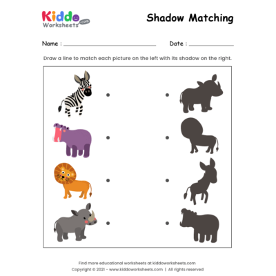 Shadow Match African Animals