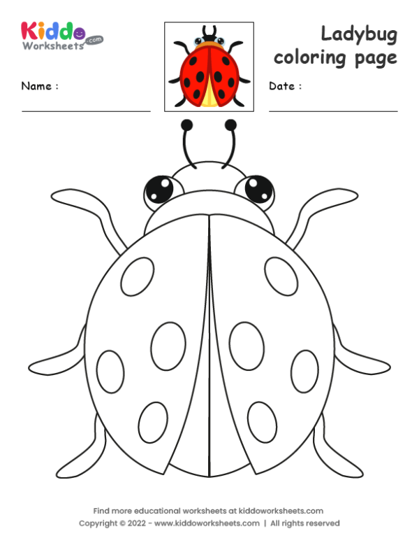 Ladybug coloring page