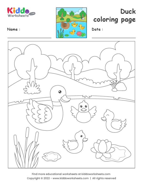 Duck coloring page