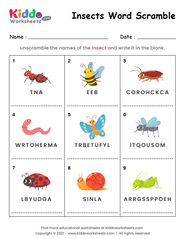 Word Scramble Insects