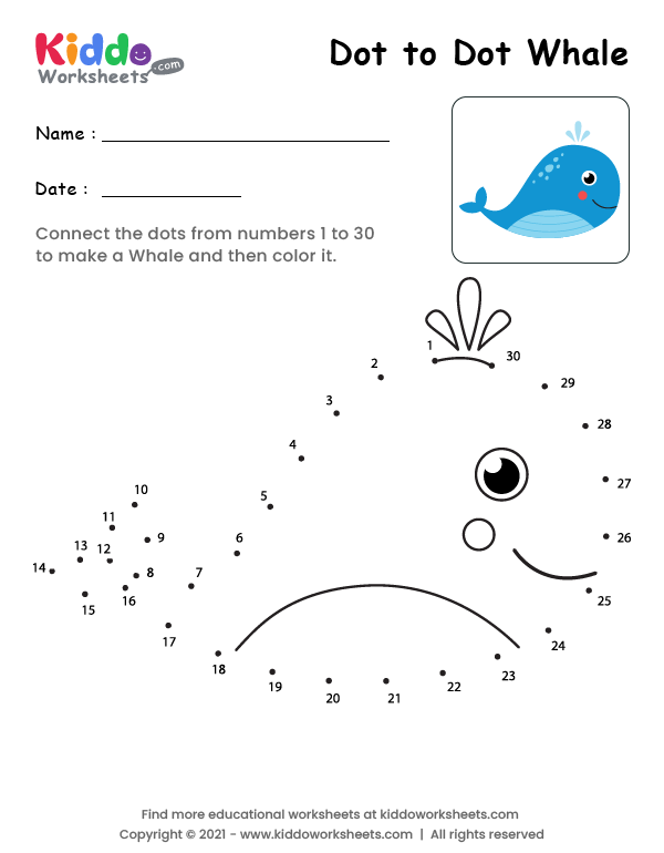 Dot to Dot Whale