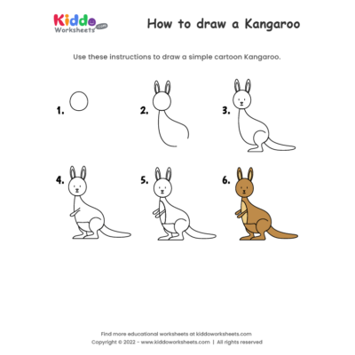 How to draw Kangaroo