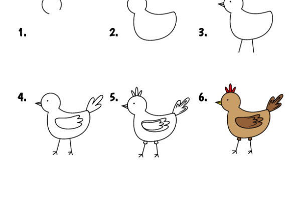 How to draw Chicken worksheet