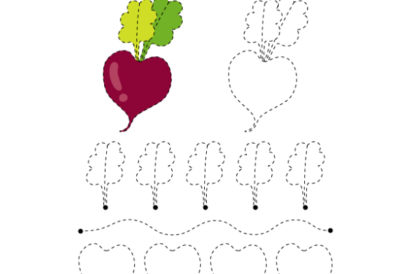 Tracing Lines Beetroot Worksheet