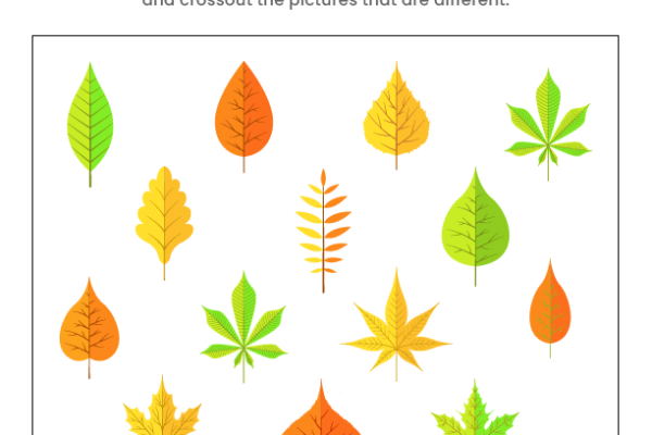 Find the same Leaves Worksheet