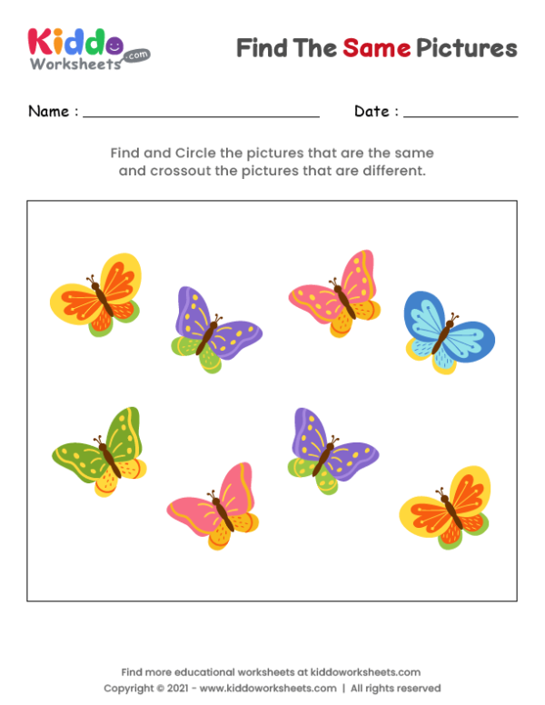 Find the same Butterflies