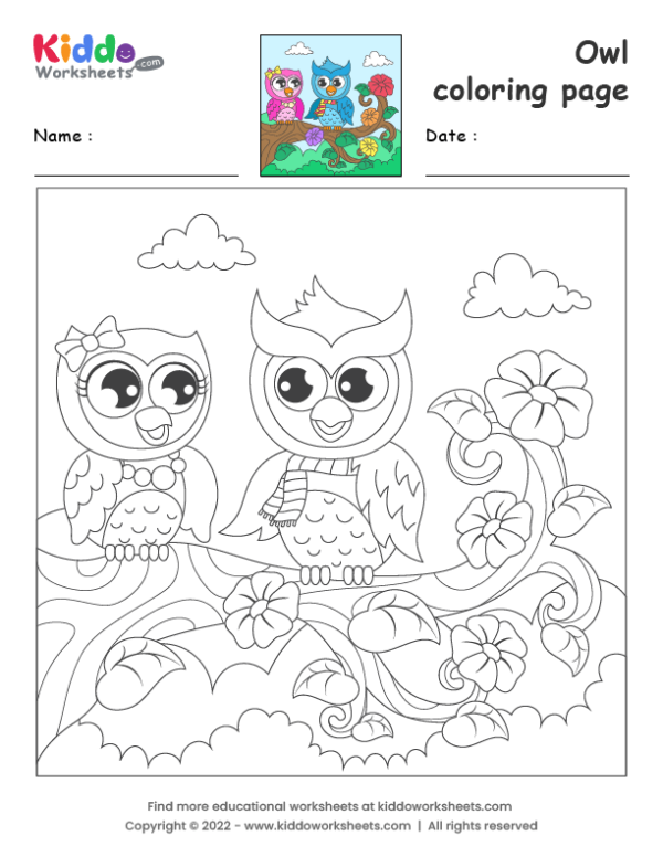 free cartoon owl coloring pages for kids